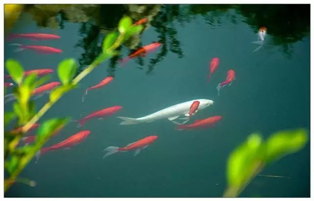 金利源，金利源凈水器，凈水器品牌，家用凈水器品牌，凈水器十大品牌，凈水器代理，凈水器加盟，凈水器廠家，凈水機，家用凈水器