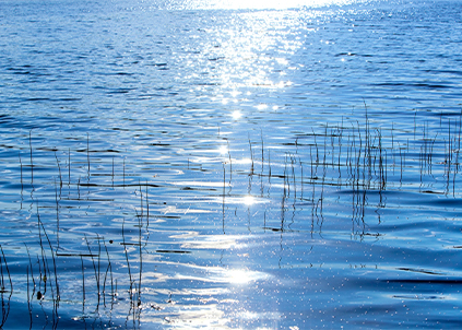 凈水器品牌【金利源】決戰(zhàn)三四線城市 該如何布局？